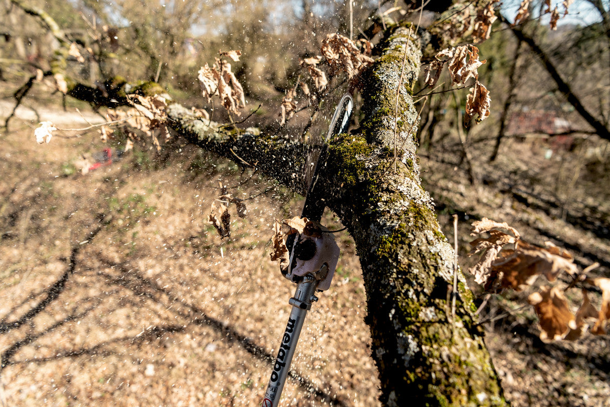 MA-MS 25 (601727850) Hochentaster-Aufsatz