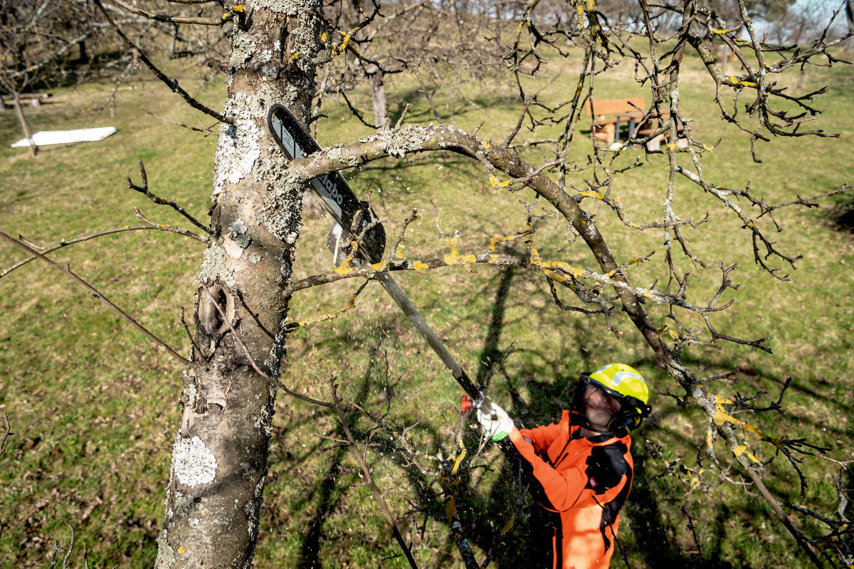 MA-MS 25 (601727850) Hochentaster-Aufsatz