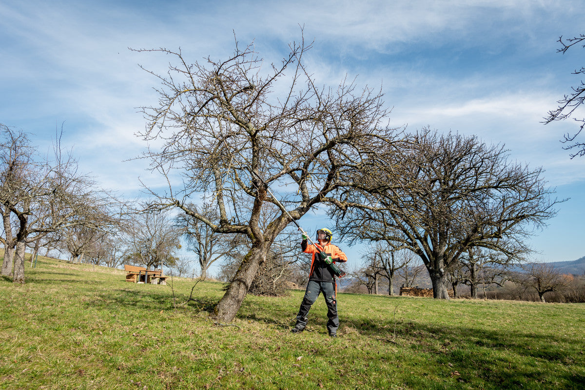 MA-MS 25 (601727850) Hochentaster-Aufsatz