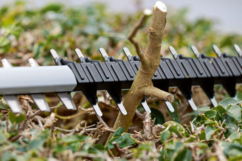 GHE 18V-50 Professional Akku-Heckenschere