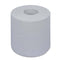 Handtuchrolle, hochweiss, 2-lagig, ca. 450 Abrisse à ca. 200 mm x 153 m