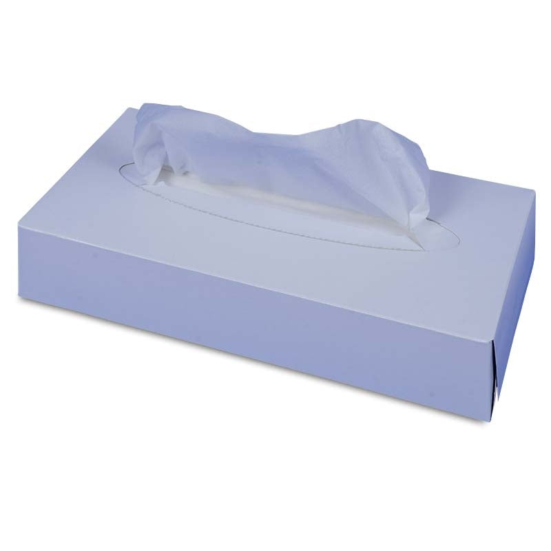 Kosmetikbox weiss, 100er Box, 2-lagig, 210 x 205 mm