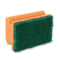 Padschwamm mit Griff, orange/grün, 95 x 70 x 45 mm