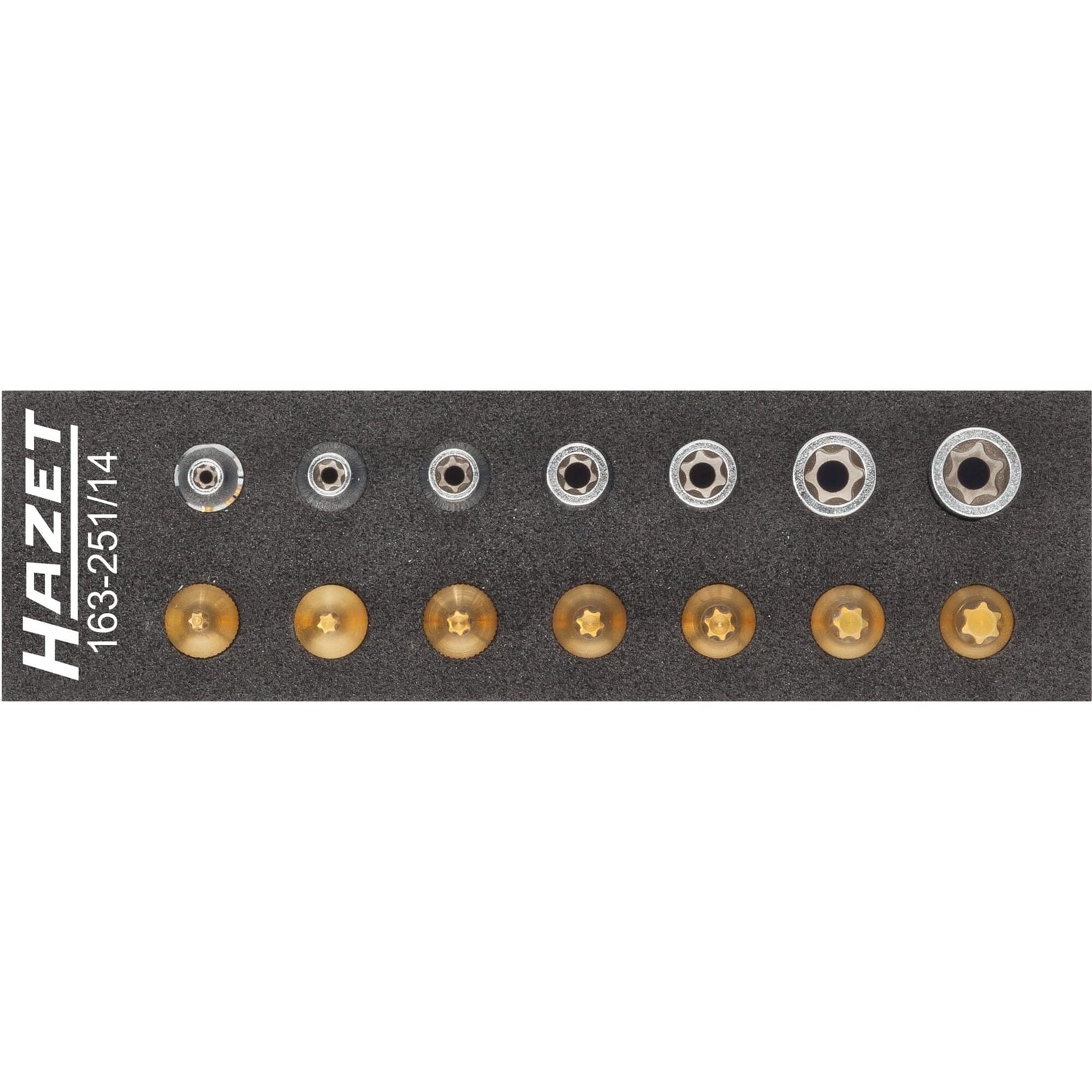 Werkzeug Satz ∙ TORX®Vierkant 6,3 mm (1/4 Zoll) - MELTEC GmbH